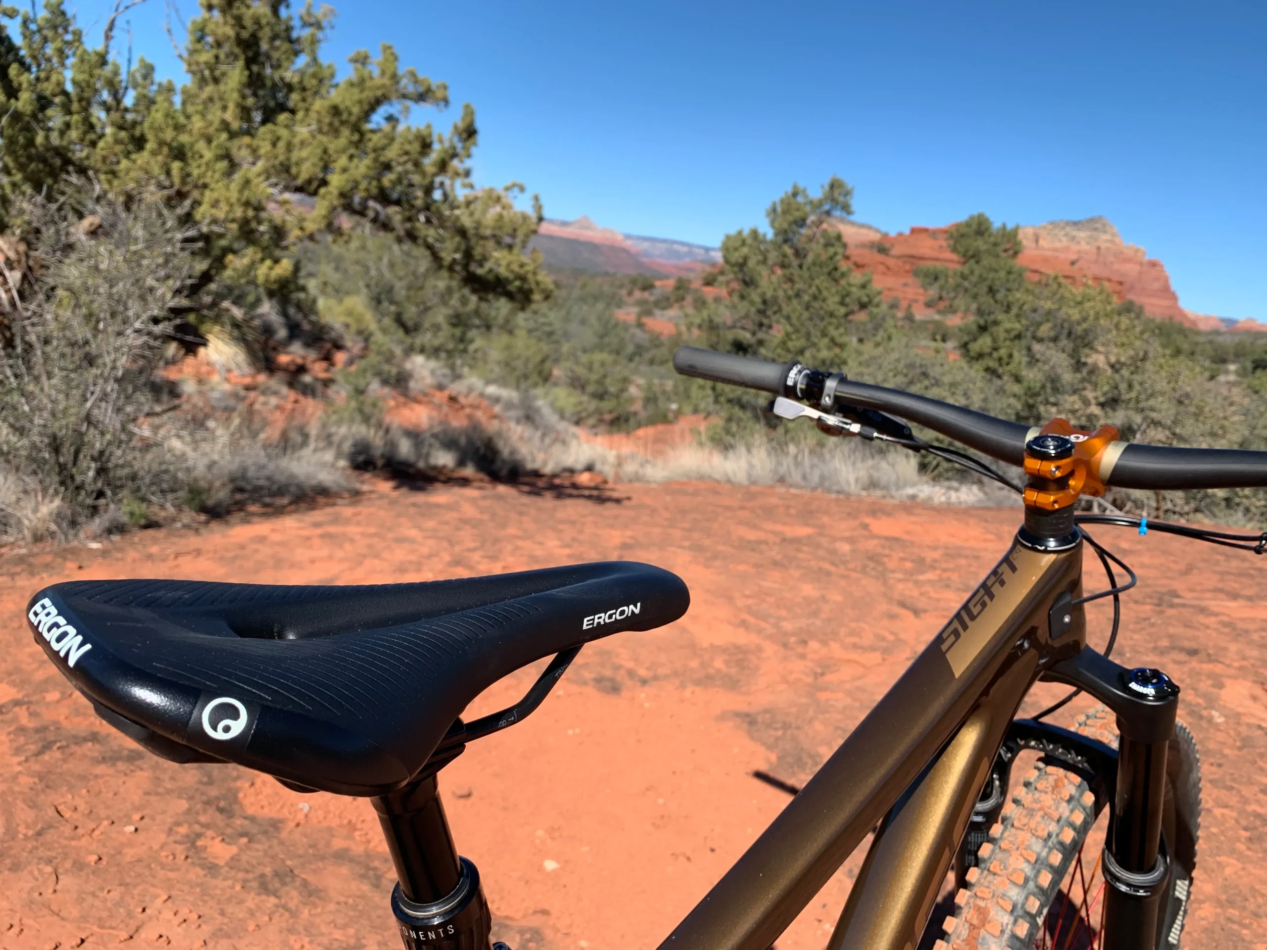 Titelseite -Ergon Verkäufe DwJQSxmLSAu0lFwJv2rcTQ scaled